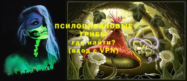дмт Майский