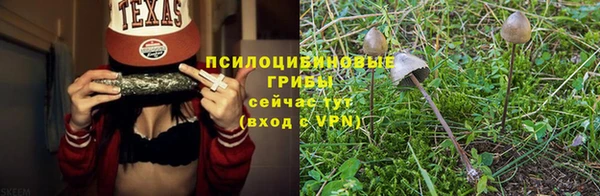 дмт Майский
