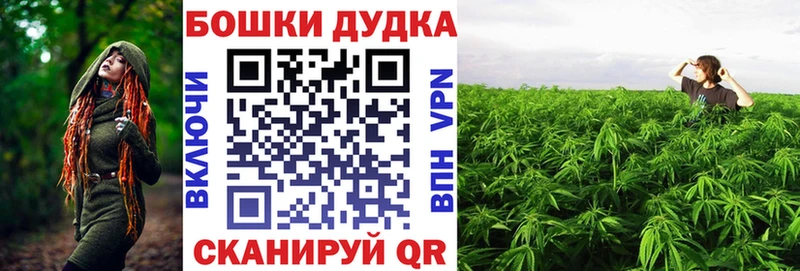 Шишки марихуана конопля  как найти   Шилка 